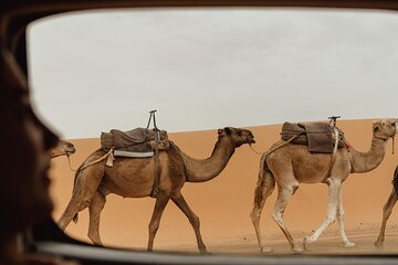 Marrakech To Merzouga Tour