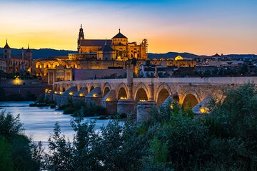 Cordoba private full daytrip from Marbella