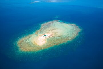 Oolala Cruises in Savala Island