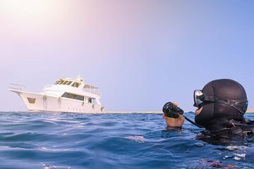 Tiran Island Cruise Experience with Intro Dive in Sharm El Sheikh