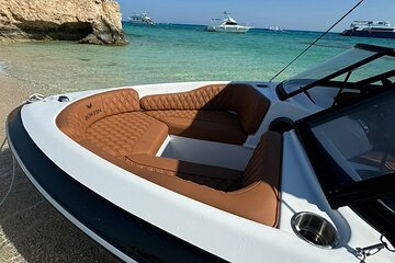 Private Speedboat Trip to See Dolphins With Snorkelling-Hurghada