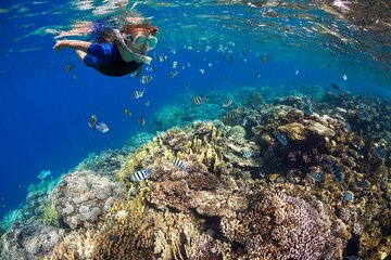 Hamata & Qulaan Islands Full Day Snorkeling with Lunch-Marsa Alam