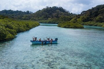 Private Blue Veins and White Beach Tour