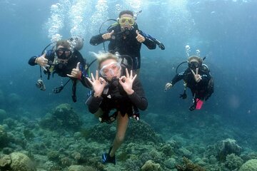 Hurghada Underwater Adventure: Full-Day Scuba Diving& Snorkeling 