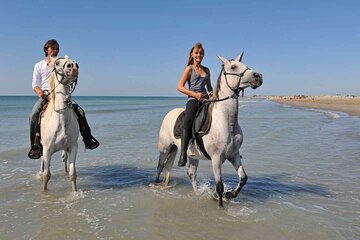 horse riding adventure