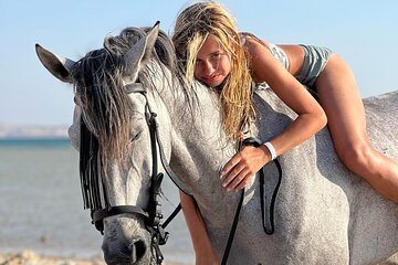1 Hour Horse Riding Sharm on the Sea including Taxes and Transfer