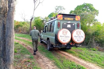 6 Days Maasai Mara Nakuru Amboseli Shared Budget Cruiser Safari