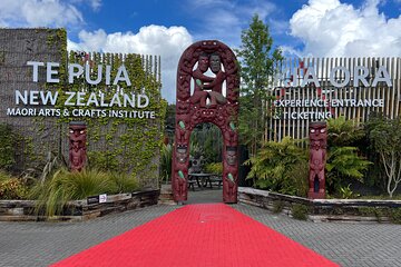 Te Puia Geothermal Park & Polynesian Spa Day Tour from Auckland