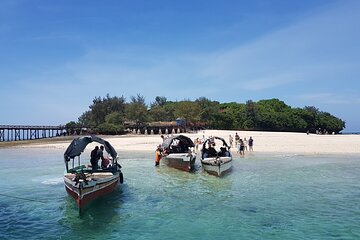 Prison Island + Stone Town (City tour) and Night Market Tour