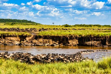 3 Days 2 Nights Serengeti and Ngorongoro Conservation Safari