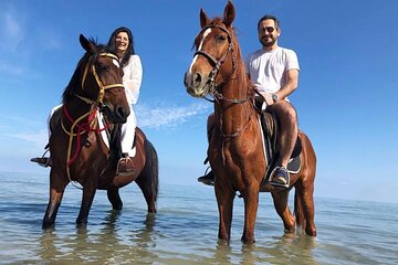 Horse riding , Bedouin Dinner & Egyptian show - Sharm El Sheikh
