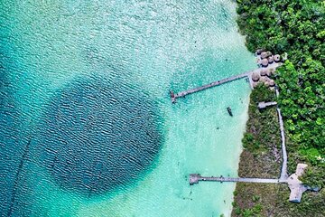 Private Tour Lagoon Kaan Luum and Cenote Heart Lunch Included 