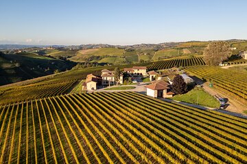 Langhe Wine Tasting and Traditional Lunch