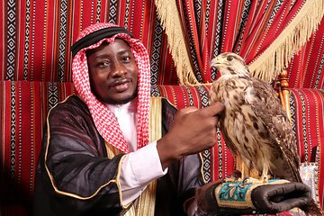 PREMIUM Dubai Evening Desert Safari with Camel Ride & BBQ Dinner