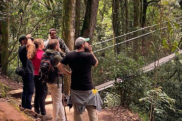 3 Day Cyinzobe Trail Adventure in Nyungwe National Park