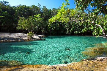 Tiger Cave and Emerald Pool Jungle Tour