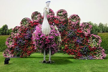 Miracle Garden Dubai Tickets with optional pickup