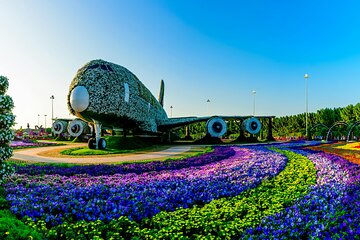 Dubai Miracle Garden Entry Pass with Hotel Pickup and Drop-Off