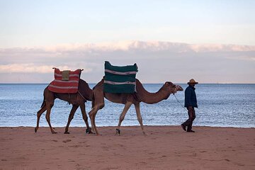 Tangier in a Day: The Ultimate Full-Day Experience
