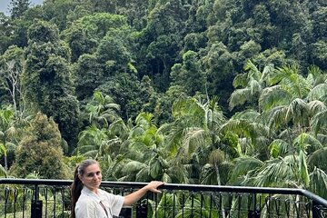 Tamborine Explorer from Gold Coast 