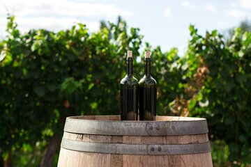 Prague Private Wine Tour