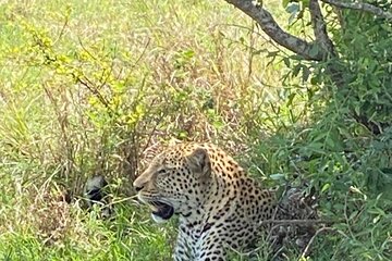 3Day, 2Night Safari in Masai Mara Kenya