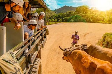 Punta Cana Safari Tour Cultural For Small Group Basilica higuey