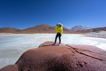 Full Day Tour Piedras Rojas Altiplanic Lagoons Chaxa Lagoon