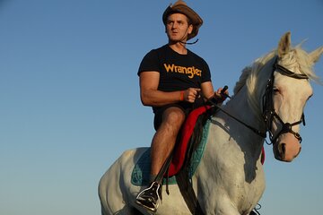 Bedouin Night Dinner, Egyptian Show, and Horse Ride tour 2 Hours-Sharm El Sheikh