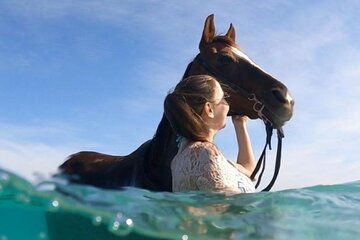 Experience Horseback Riding in the Breathtaking Desert - Hurghada