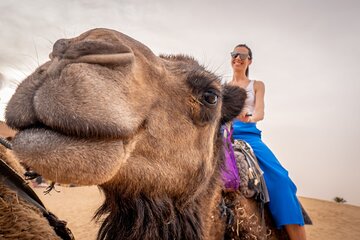 Amazing Camel Ride & Romantic Dinner Agafay, Transfer - Marrakech