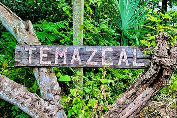 Mayan experience with temazcal and fresh local food