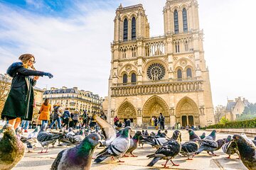 Notre Dame de Paris Cathedral Tour with Audioguide (no ticket)