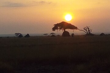Mount Kenya National Park Private Tour Experience
