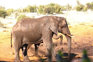 3 Days Private Trip to Victoria Falls Chobe Tour 