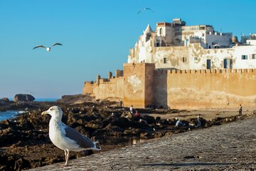 Essaouira City Tour with Cooking Class and Lunch - Marrakesh