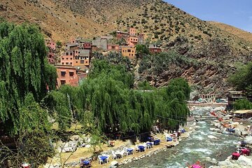 Live an Unforgettable Day in the Heart of the Ourika Valley