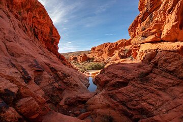 The Ultimate Red Rock Canyon Scenic Experience