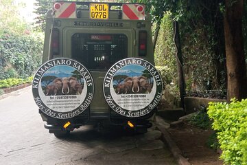 Day Trip to Amboseli National Park at the Base of Mt. Kilimanjaro