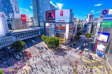 Tokyo City Private English Speaking Driver 