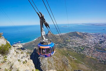 Table Mountain, Kirstenbosch & Constantia Full Day Private Tour