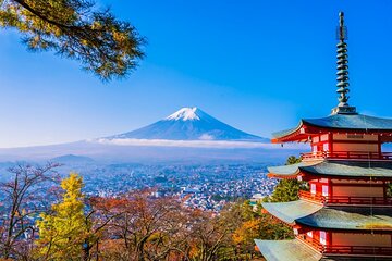 Mt Fuji Private Day Trip from Tokyo with English Speaking Driver
