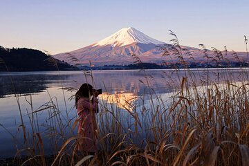 Mount Fuji Day Trip from Tokyo with English Speaking Chauffeur 