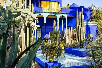 Horse Drawn Carriage Tour of Marguel Garden& Koutoubia- Marrakesh