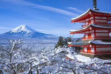 Private 1 Day Round Trip Tour from Tokyo to Mount Fuji