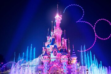 One Way Private Transfer from Orly to Disney Hotel