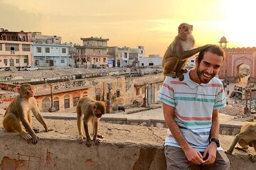 Jaipur Half-Day Tour with Flower Market & Sunset Views