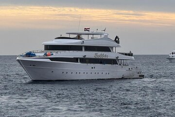 Hamata Island snorkeling Sea Trip with Lunch from Marsa Alam