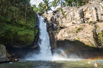 Ubud Full Day Private Tour with All Inclusive