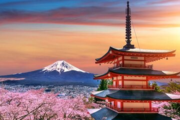 Mount Fuji & Lake Kawaguchiko Exclusive Tour: Beyond the Ordinary